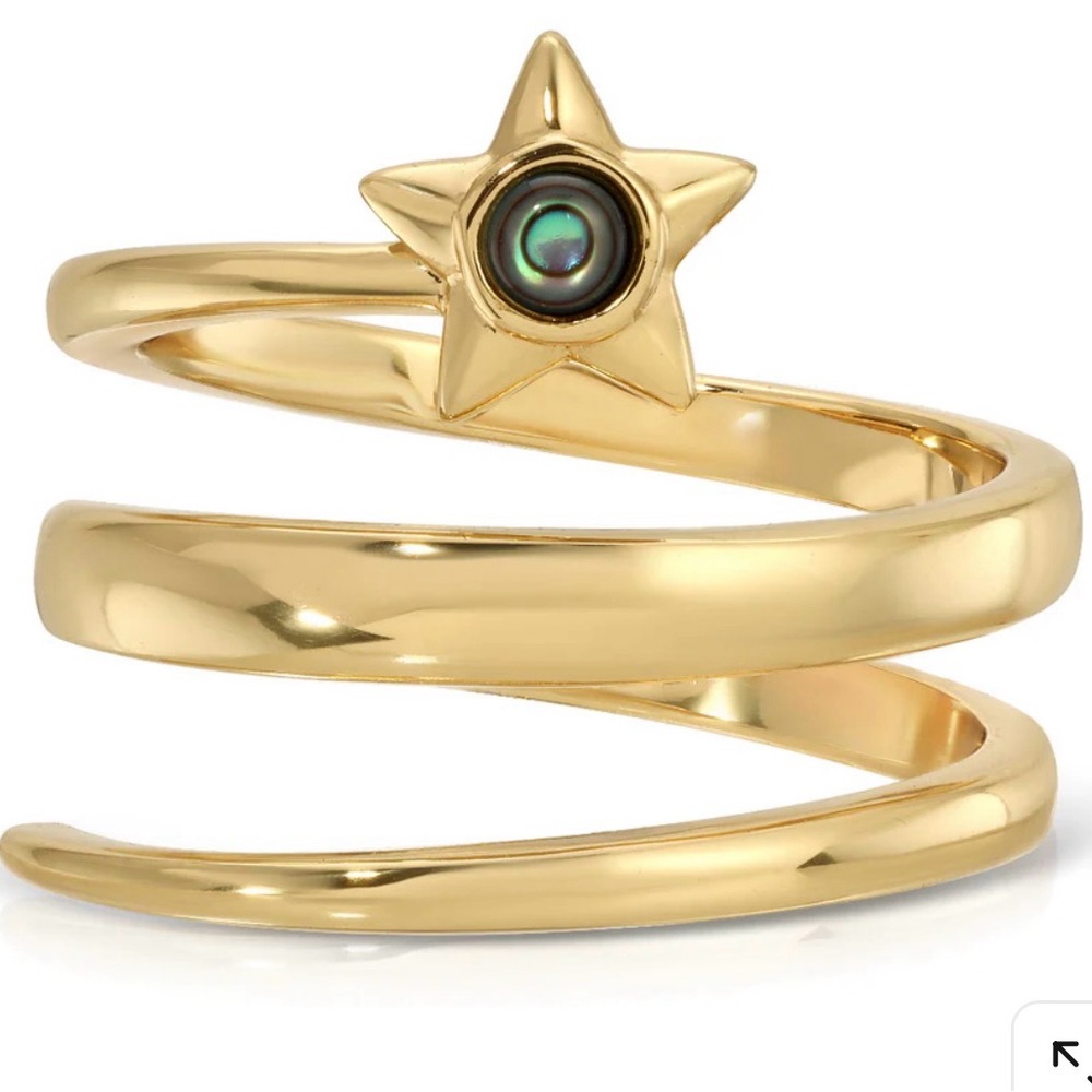 Elizabeth Stone Lucky Star Abalone Ring